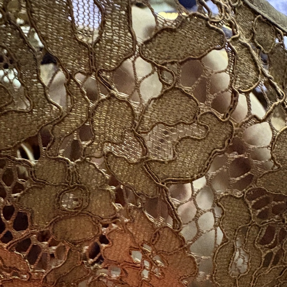 J. Crew Olive Lace Top 12T - Picture 9 of 9